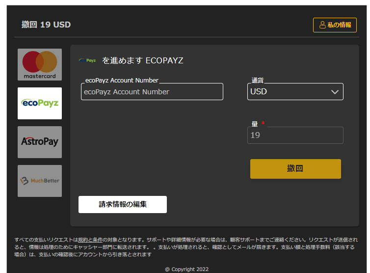 上の画面で「Payz」を選びます