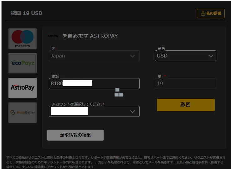 「撤回」を押すと、このように決済に入ります