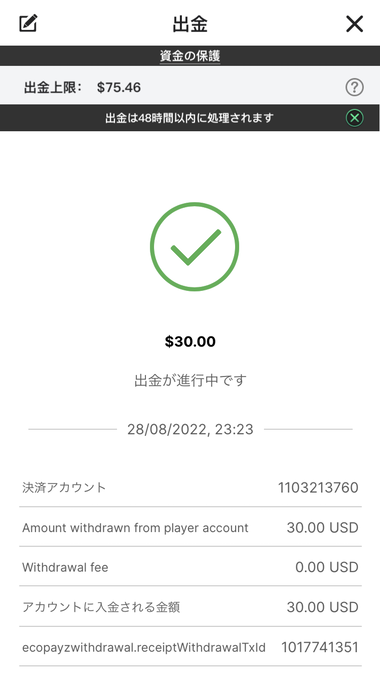 Payzの出金手続きの画面