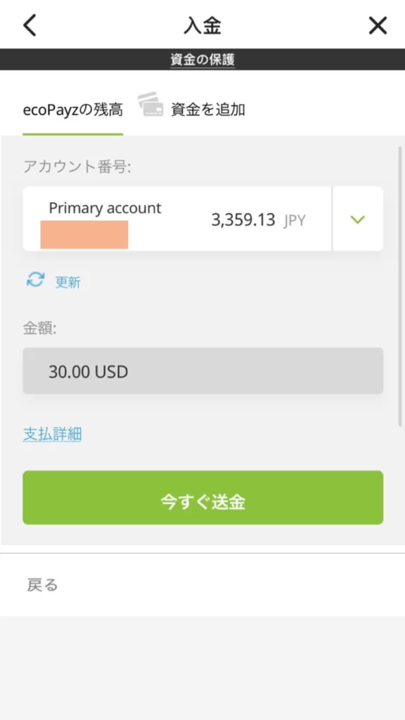 ecoPayz（エコペイズ）