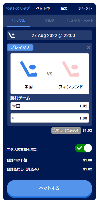 アイスホッケー