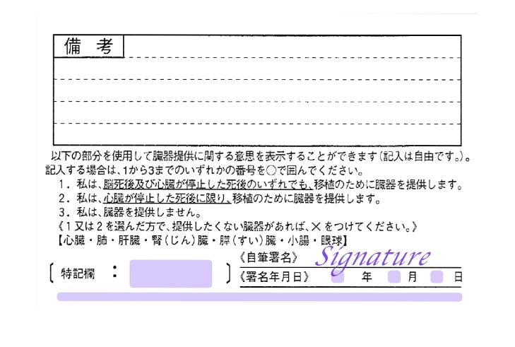 裏面の例