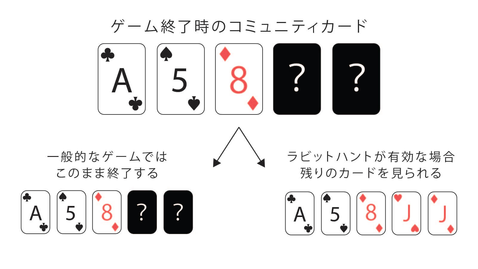 ラビットハント
