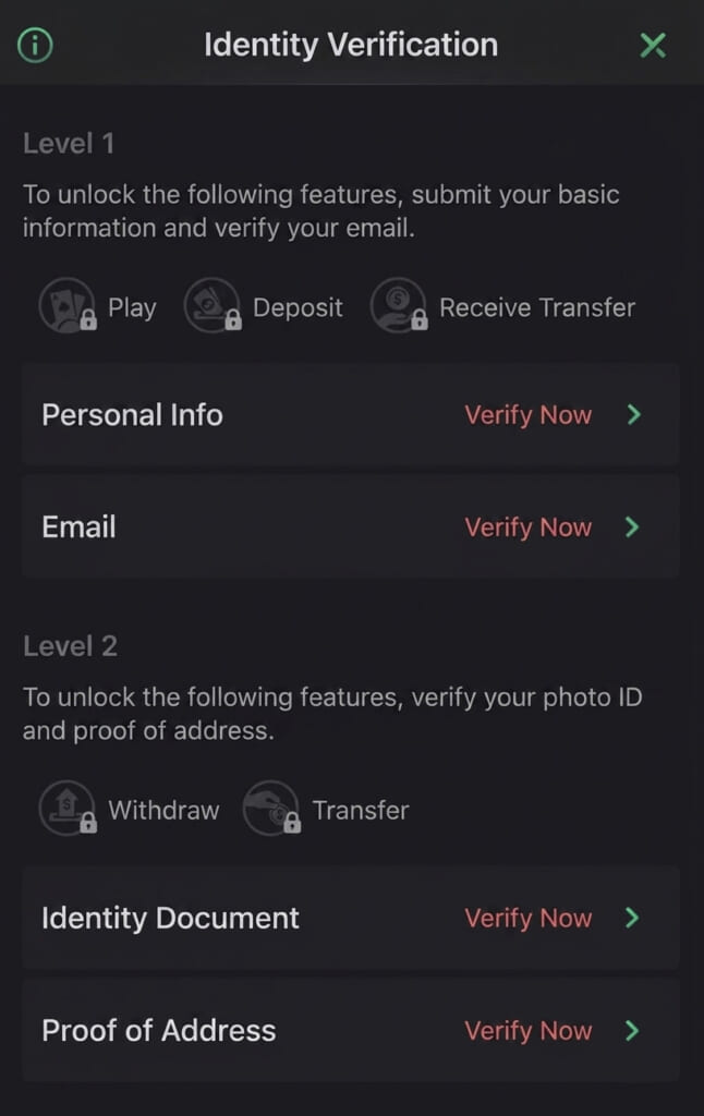 First, register your "Personal Information" on the identity verification page.